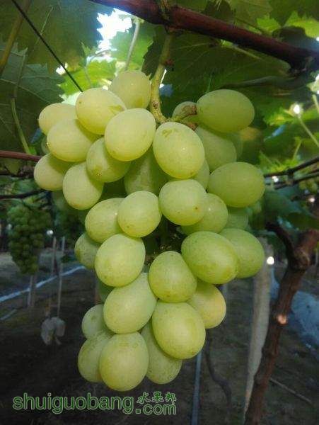 IMG20150731_140143.png