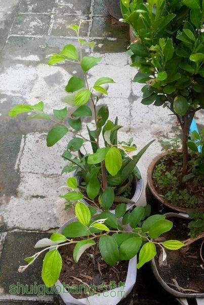 QQͼƬ20150731220920.jpg