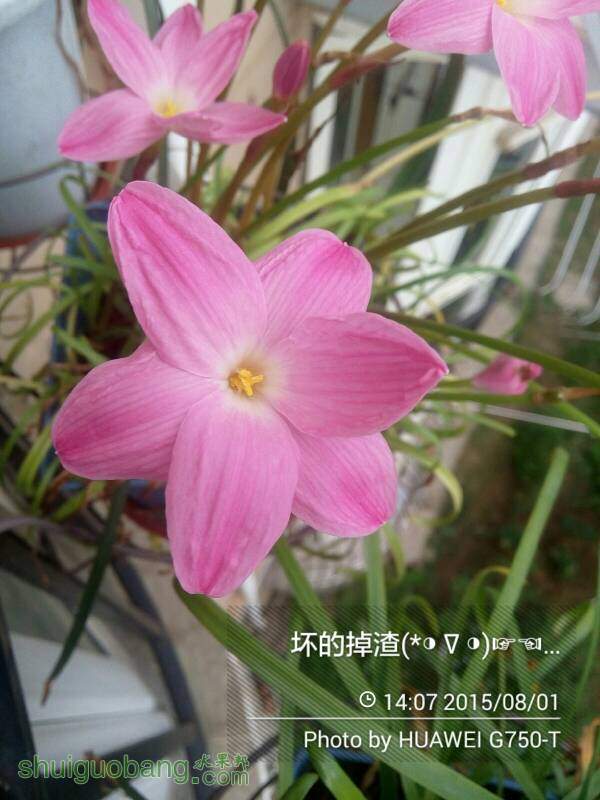 144658f2666v6iqxbx69ib.jpg