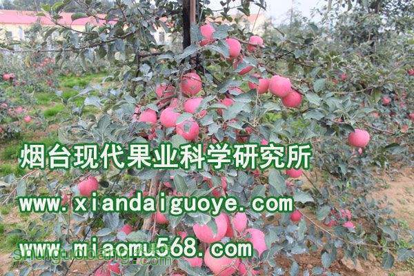 zhidao1.jpg