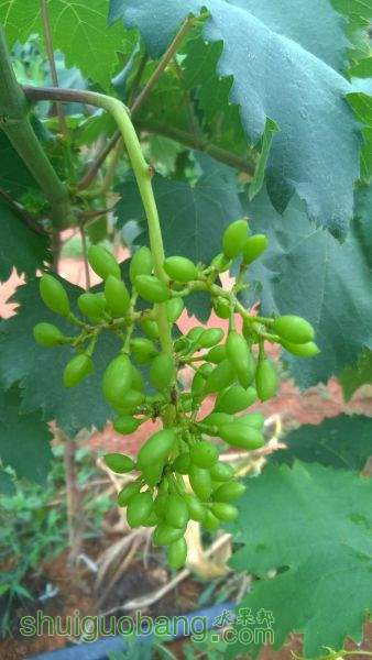 WP_20150723_12_53_03_Pro.jpg