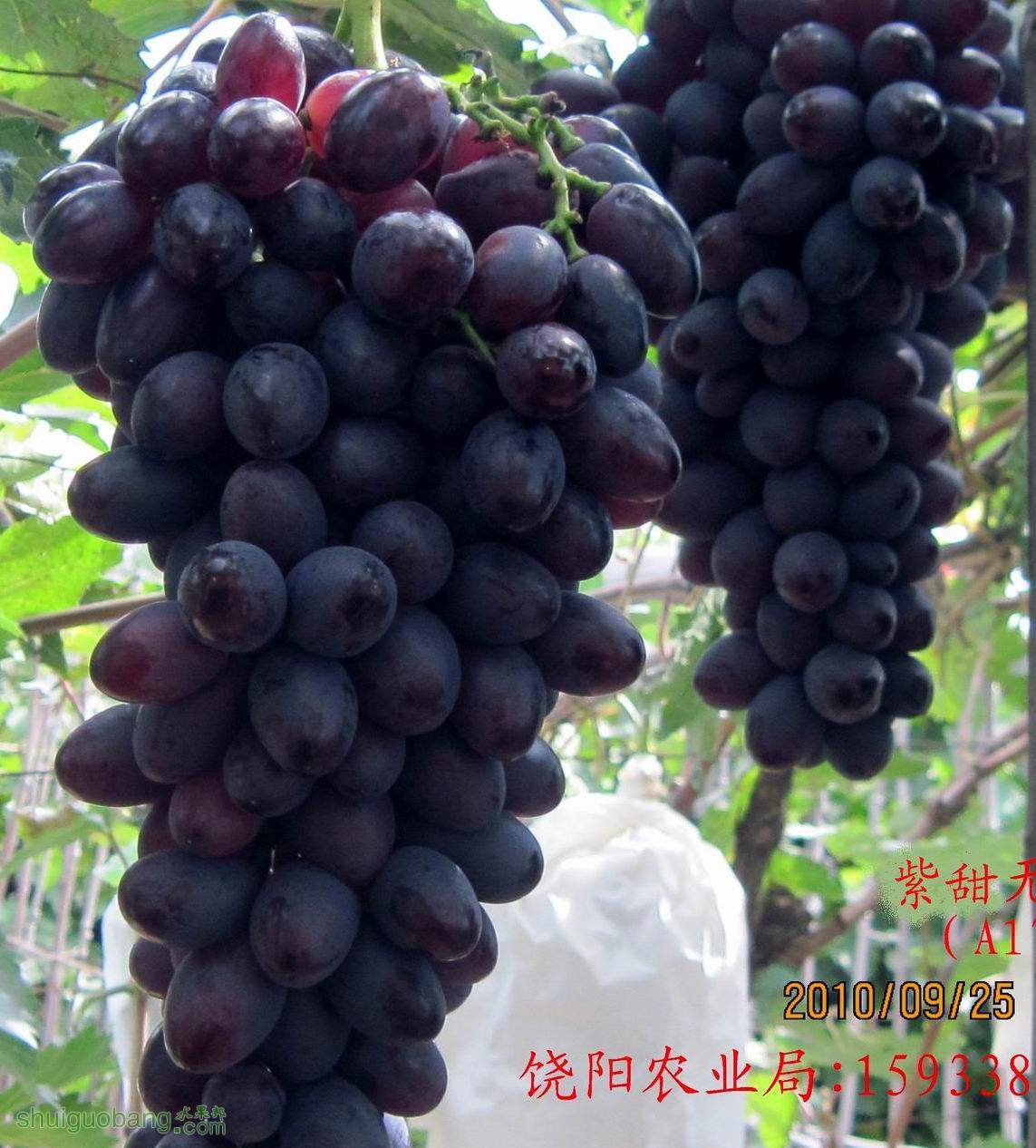 223057ucwu36uar5rskm34.jpg