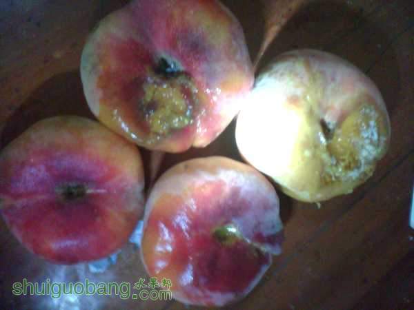 IMG_20150806_200058_0.jpg