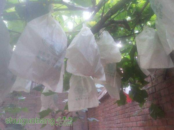 20150806_075313.jpg