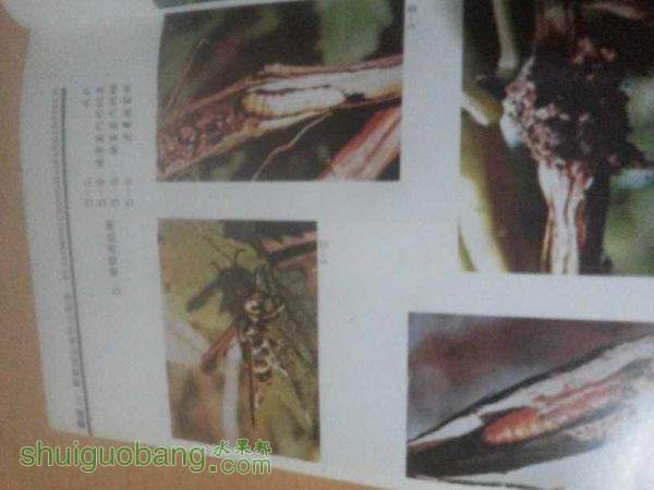 20150807_070209.jpg