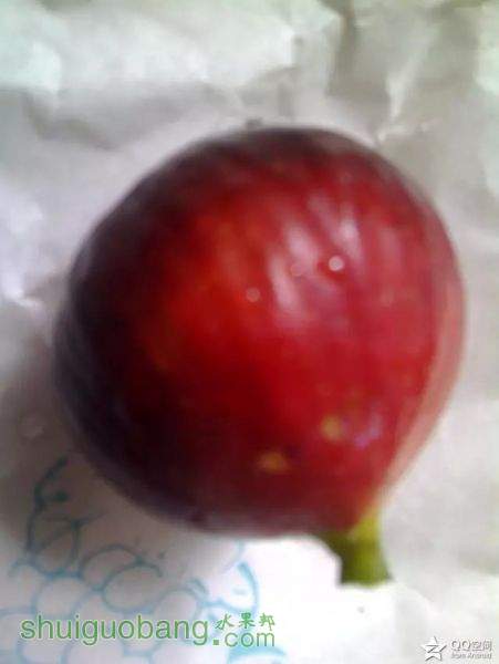 psb000.jpg