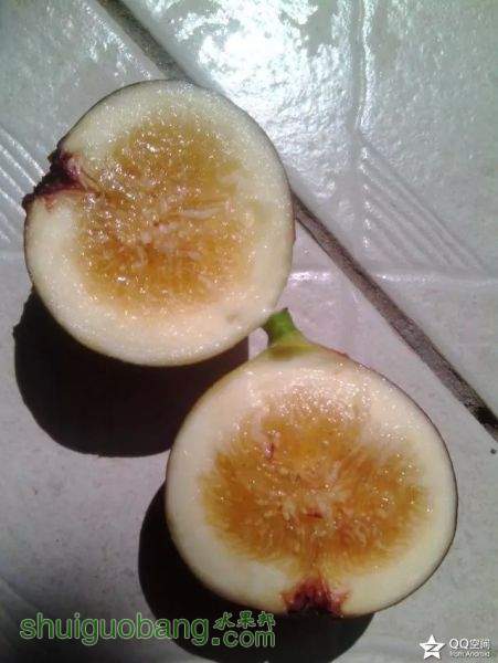 psb00000.jpg