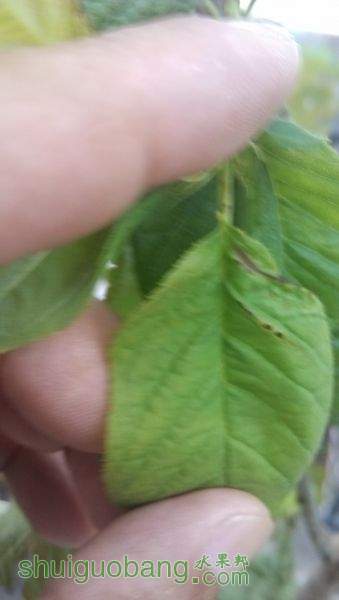 IMG_20150811_060418.jpg