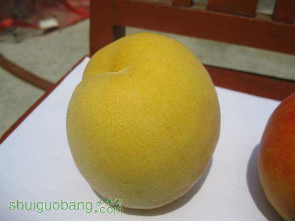 125943i3ozmuu77aoamofz.jpg