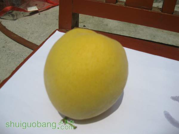125945sw04lljz9j99zk04.jpg
