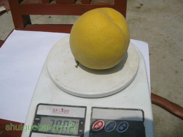 125951j2dluzu000r33p03.jpg