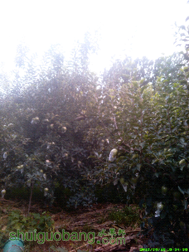 IMG_20150810_183408.jpg