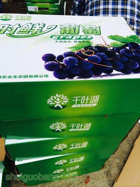 QQͼƬ20150811162530.jpg