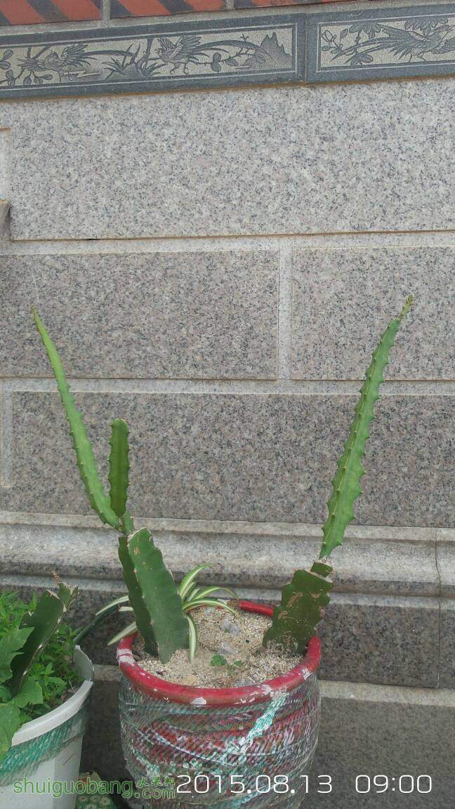 231012mqsnqsnxlarognlo.jpg