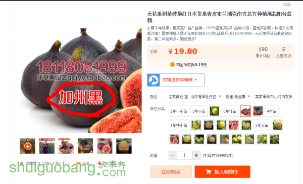 ѹͼ1508150915_2.png