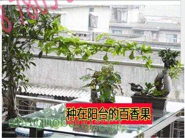 QQͼƬ20150621234604.jpg