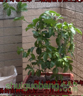 QQͼƬ20150815211808.png