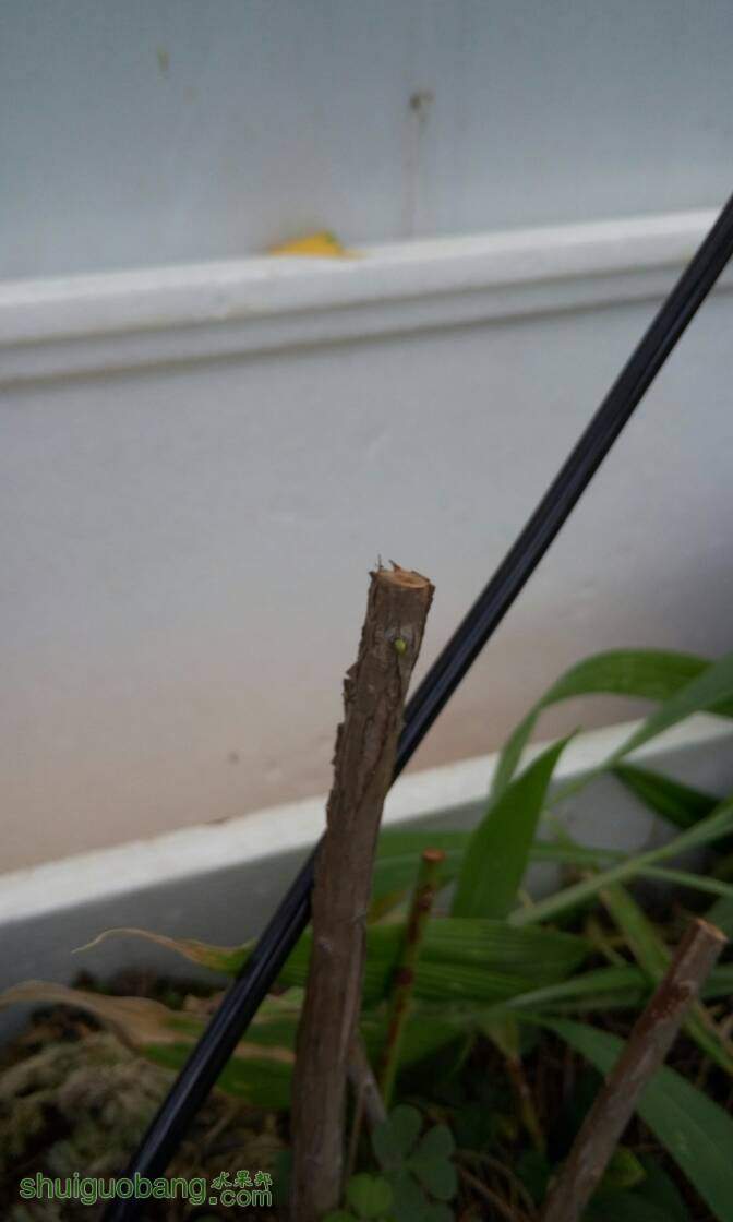 211041yr02mgf2m0yimmd0.jpg