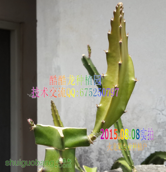 QQ��ͼ20140816214852.png