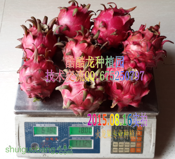 QQͼ20140816213801.png