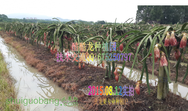 QQͼ20140816214006.png