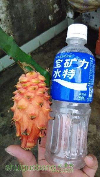 QQͼƬ20150816224007.jpg