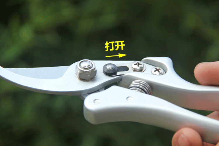 6.gif