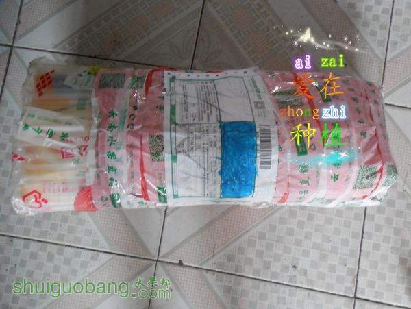 DSCN1678.jpg