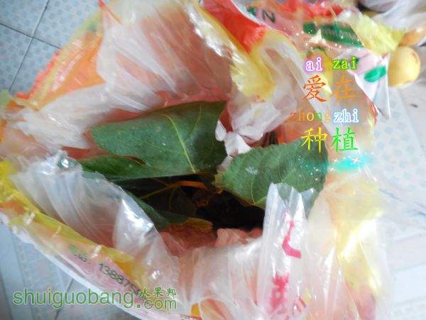 DSCN1680.jpg