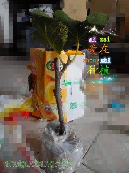 DSCN1682_.jpg