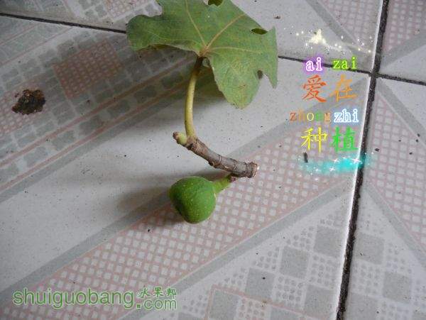 DSCN1683.jpg