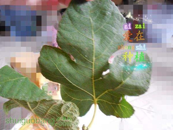 DSCN1684_.jpg