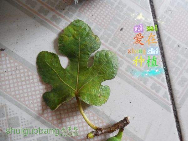 DSCN1685.jpg