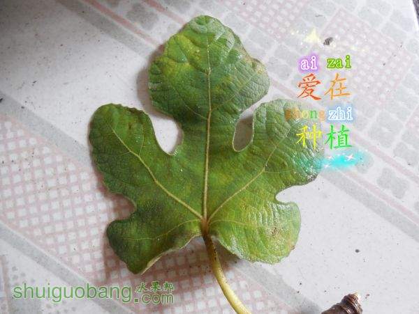 DSCN1686.jpg