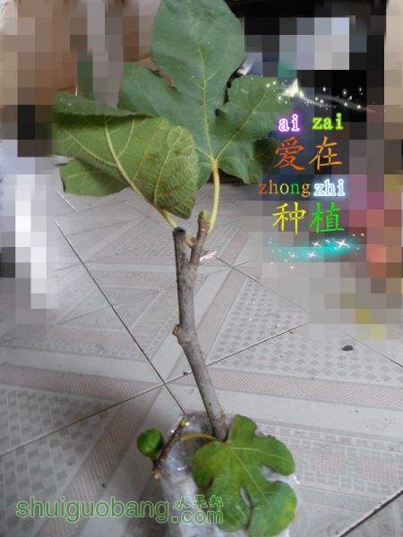 DSCN1688_.jpg
