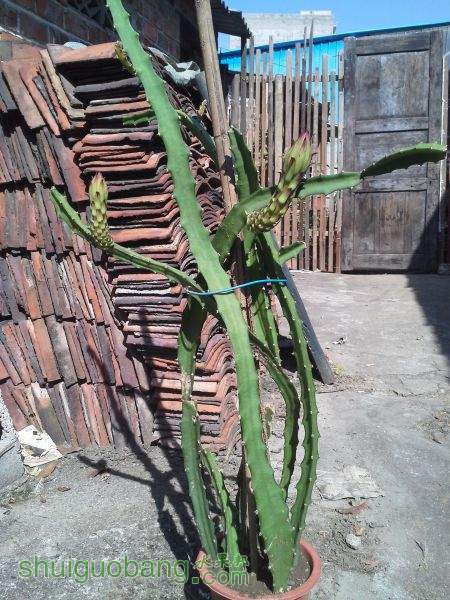 20150817_095636.jpg