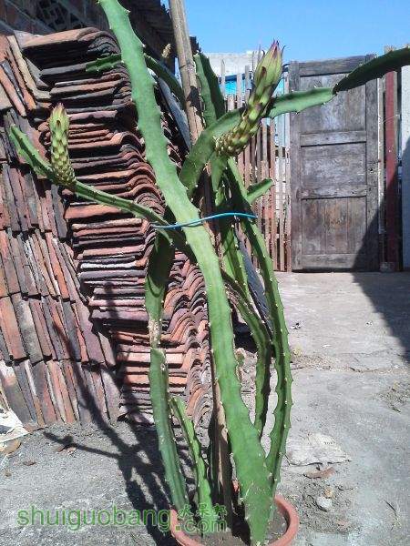 20150817_095648.jpg
