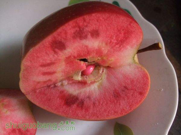 2015��8��19�պ�ɫ֮�� 004.jpg