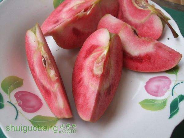 2015��8��19�պ�ɫ֮�� 008.jpg