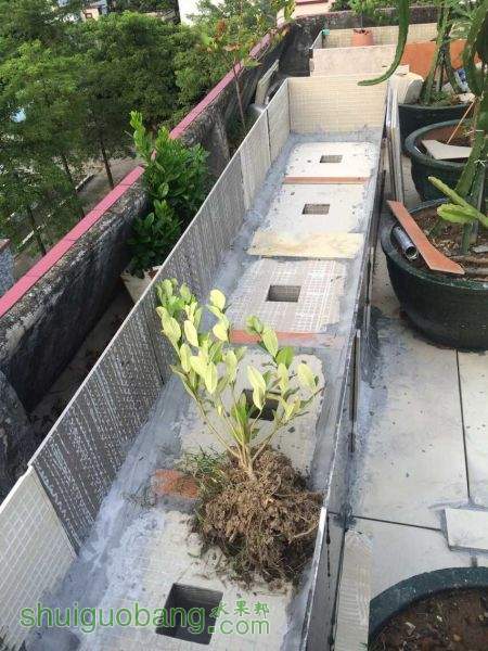 QQͼƬ20150820103925.jpg