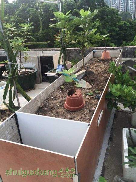 QQͼƬ20150820103935.jpg