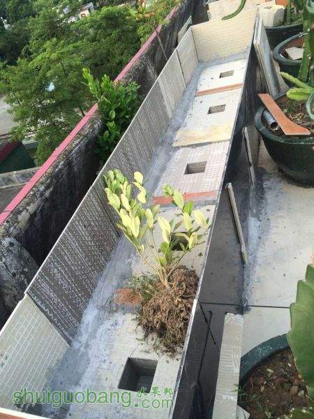 QQͼƬ20150820104007.jpg