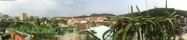 QQͼƬ20150820104010.jpg