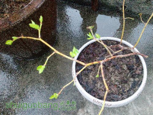 IMG_20150820_160957.jpg