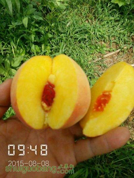 QQͼƬ20150822064024.jpg