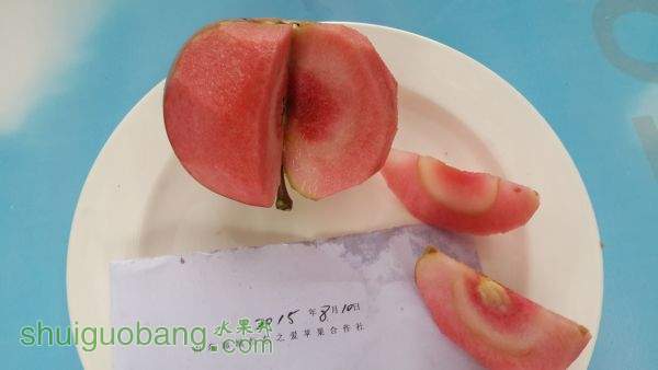 20150819_113751.jpg