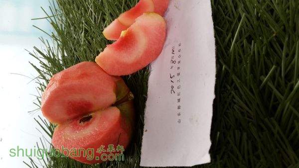 20150819_113452.jpg