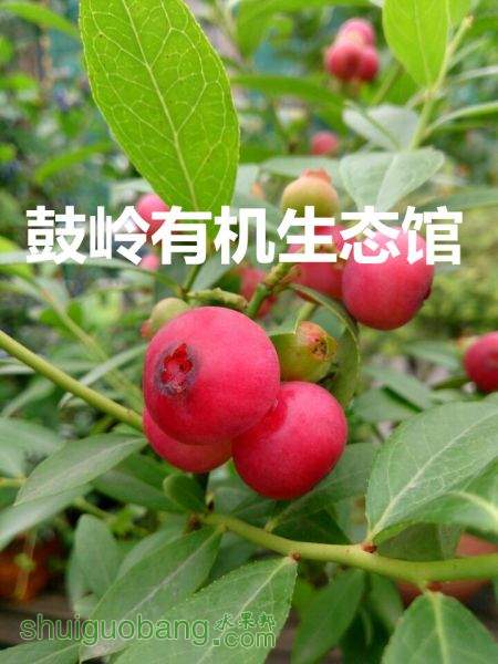 QQͼƬ20150522114239_.jpg