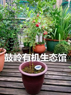 QQͼƬ20150522114246_.jpg