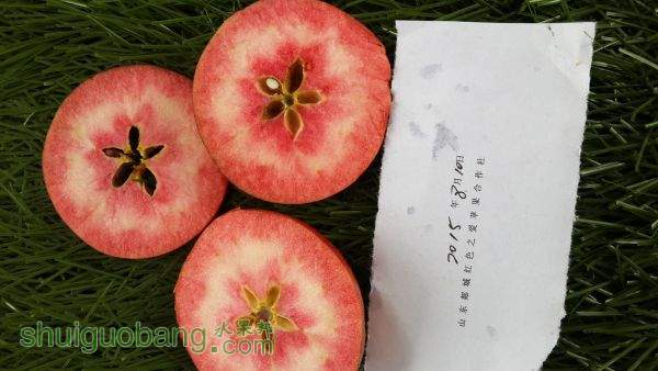 20150819_101655.jpg